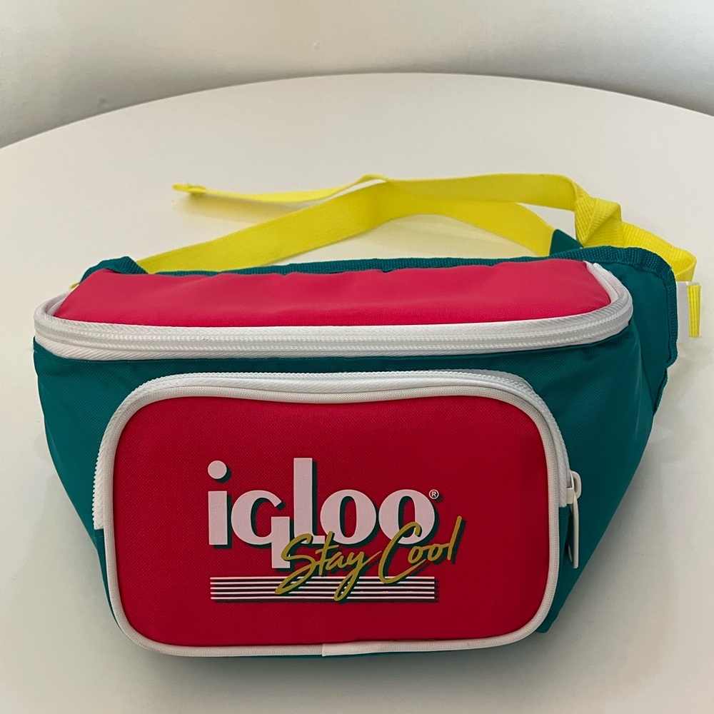Igloo Pink and Teal Fanny Pack
